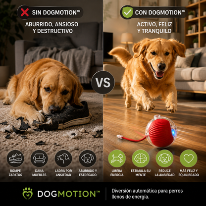 🐶 DogMotion™- Diversión automática para perros llenos de energía.